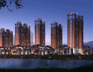 Xing want to family project phase two